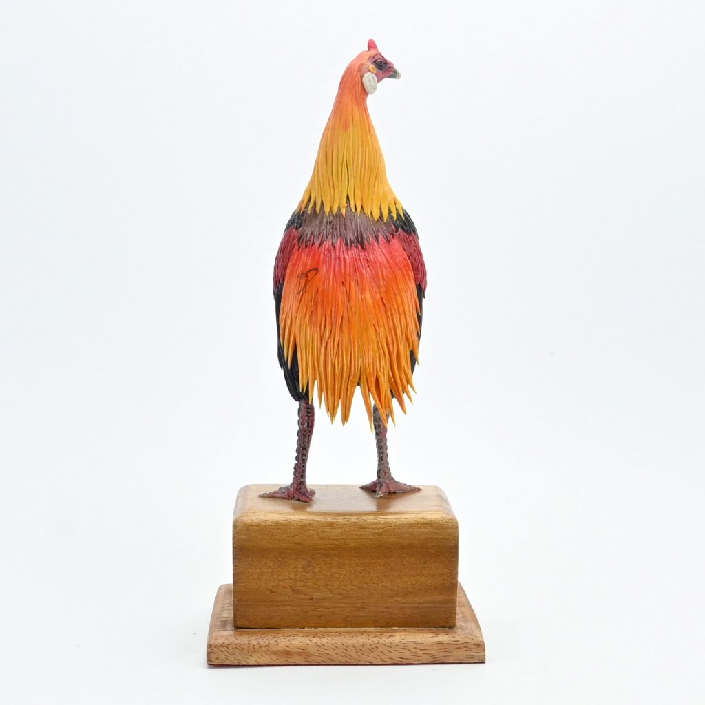 Gallo en miniatura (Navajero ajiseco amarillo bolo) – Martinkullu