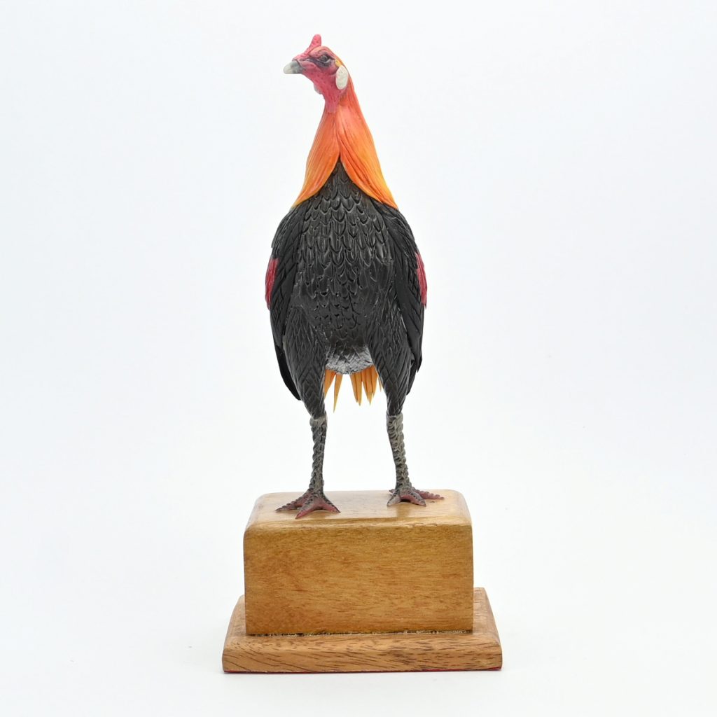 Gallo en miniatura (Navajero ajiseco amarillo bolo) – Martinkullu