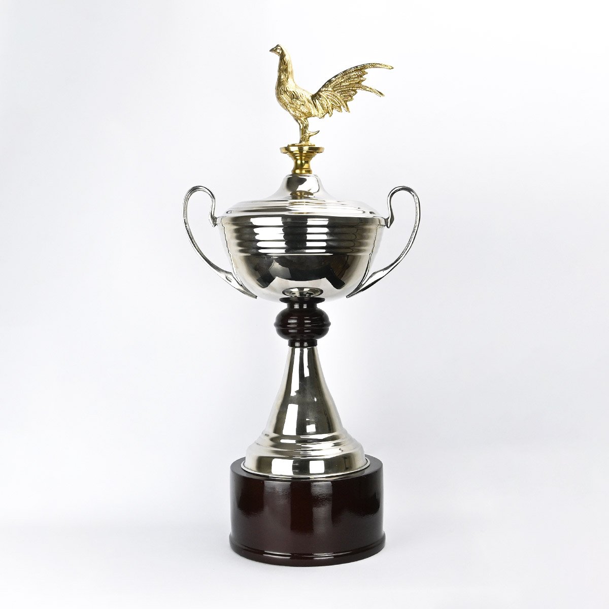 Trofeo de bronce en base de madera