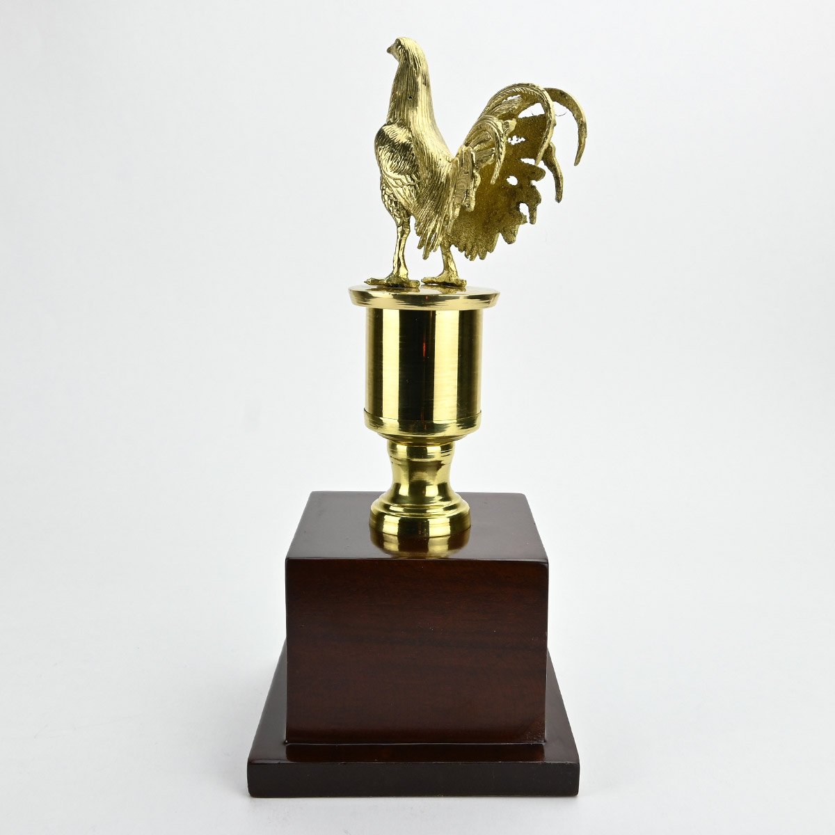 Trofeo de bronce